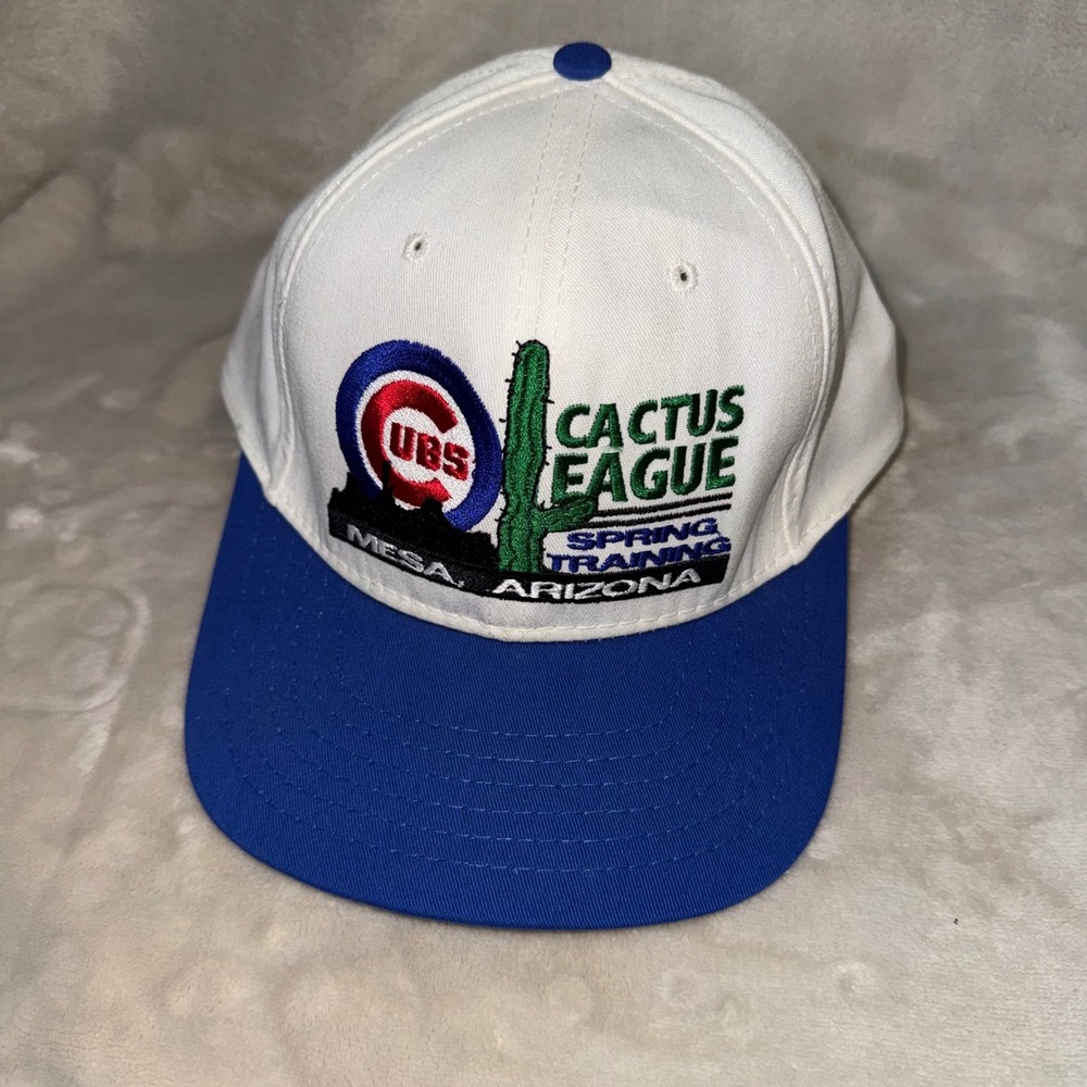 Vintage Chicago Cubs Cactus League Spring Training Hat American Needle Snapback
